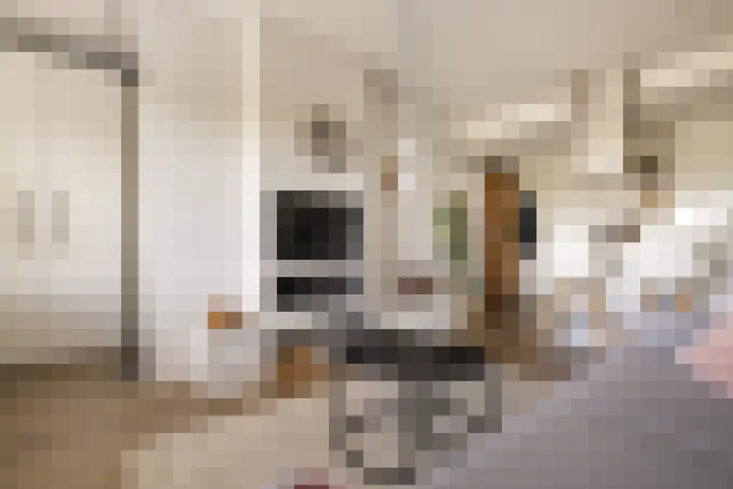 Dierenriem 96 Amsterdam thumbnail 11