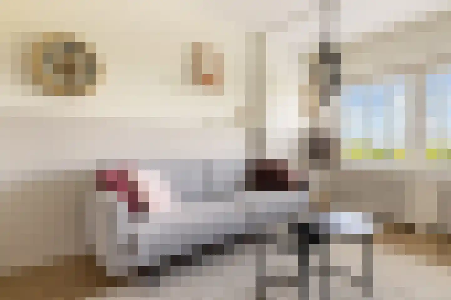 Dierenriem 96 Amsterdam thumbnail 12