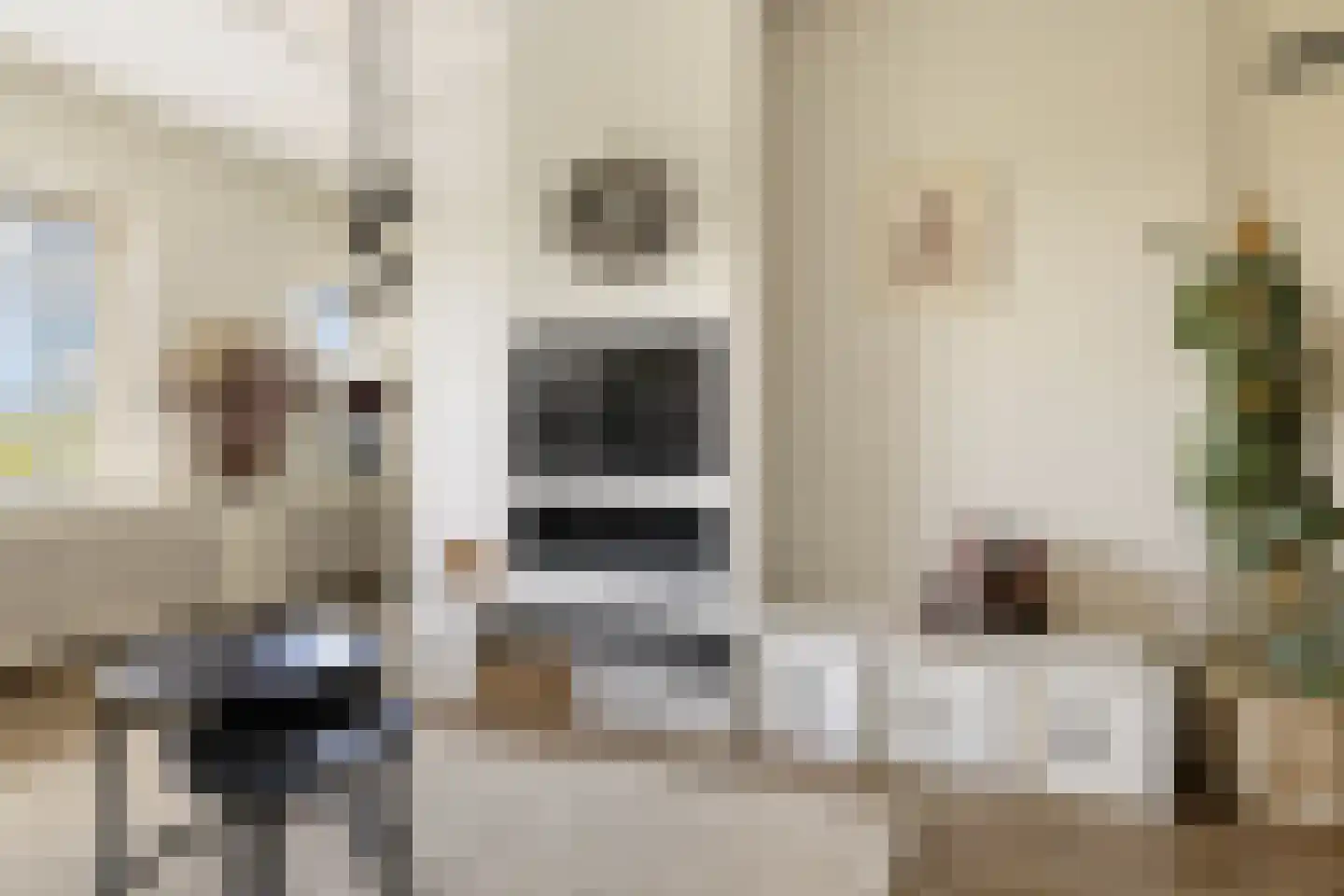 Dierenriem 96 Amsterdam thumbnail 13
