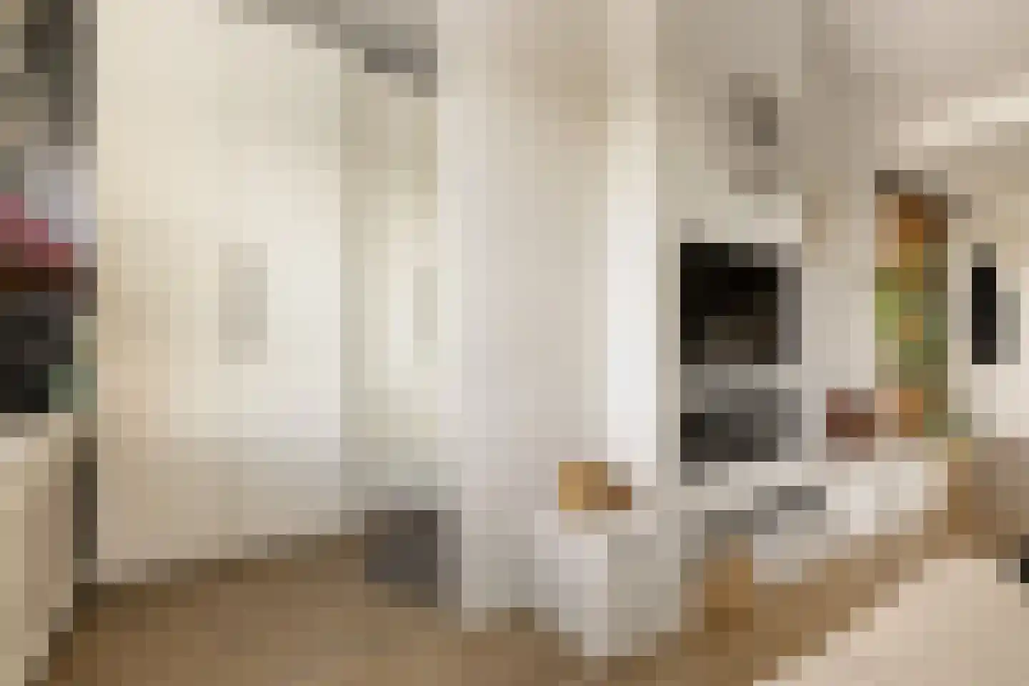 Dierenriem 96 Amsterdam thumbnail 15
