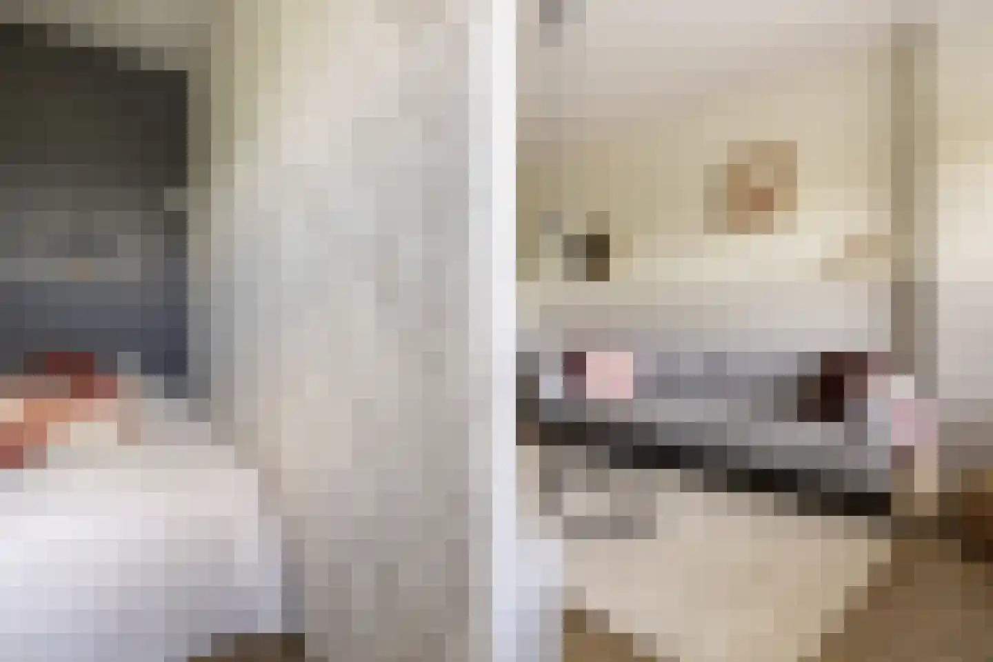 Dierenriem 96 Amsterdam thumbnail 17
