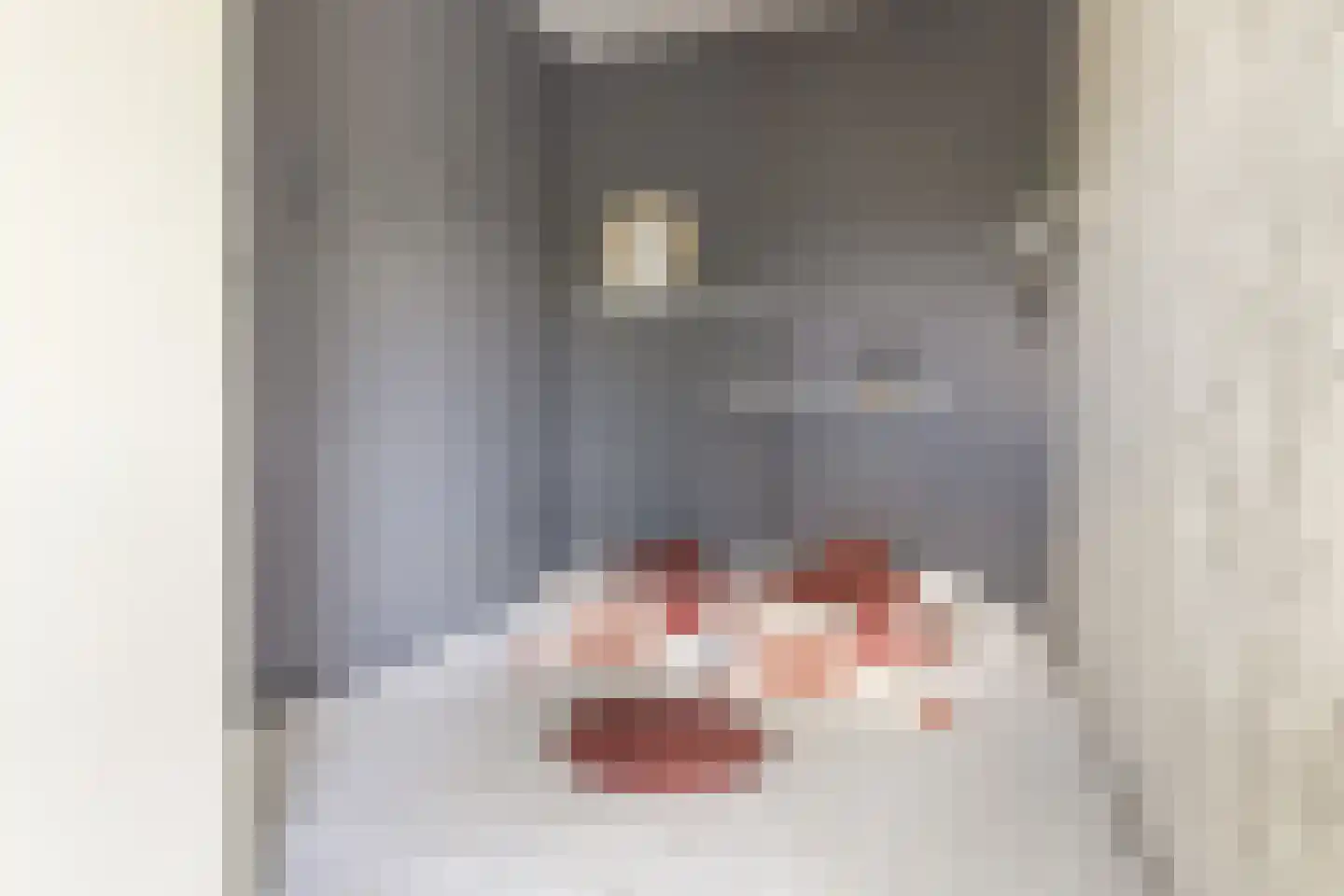 Dierenriem 96 Amsterdam thumbnail 18