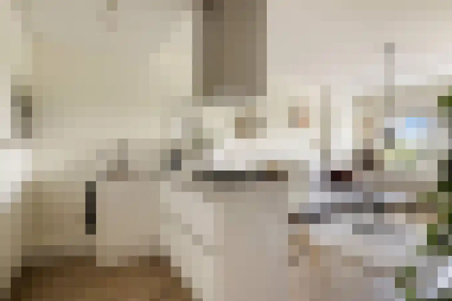 Dierenriem 96 Amsterdam thumbnail 22