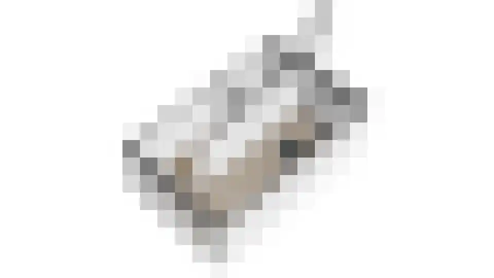 Dierenriem 96 Amsterdam thumbnail 30