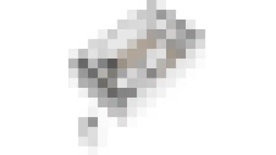 Dierenriem 96 Amsterdam thumbnail 31
