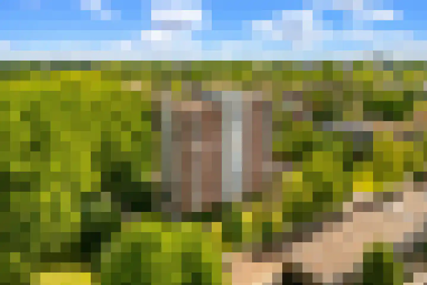 Dierenriem 96 Amsterdam thumbnail 5
