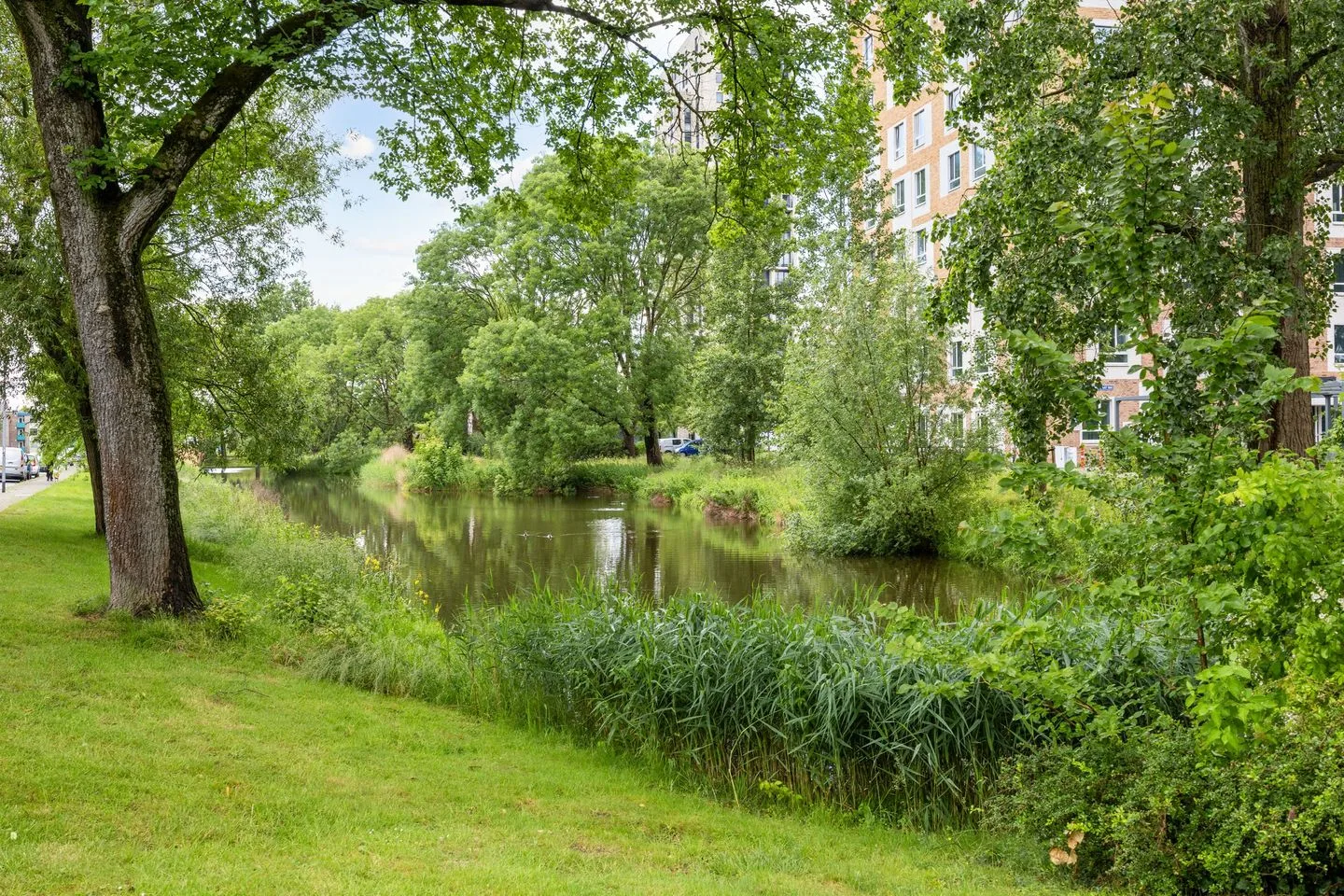 Dierenriemstraat 167 Groningen thumbnail 44