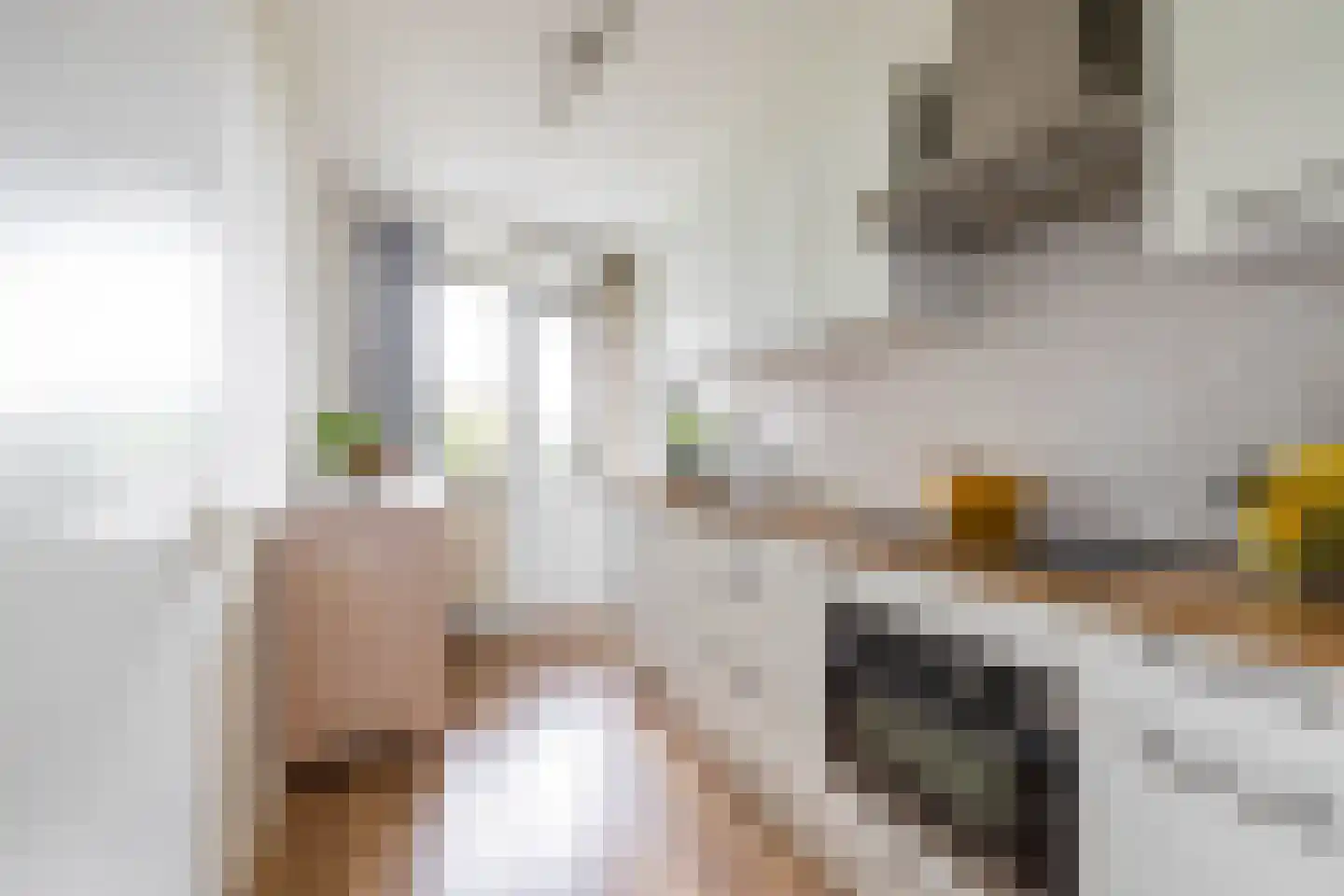 Dierenriemstraat 185 Groningen thumbnail 22