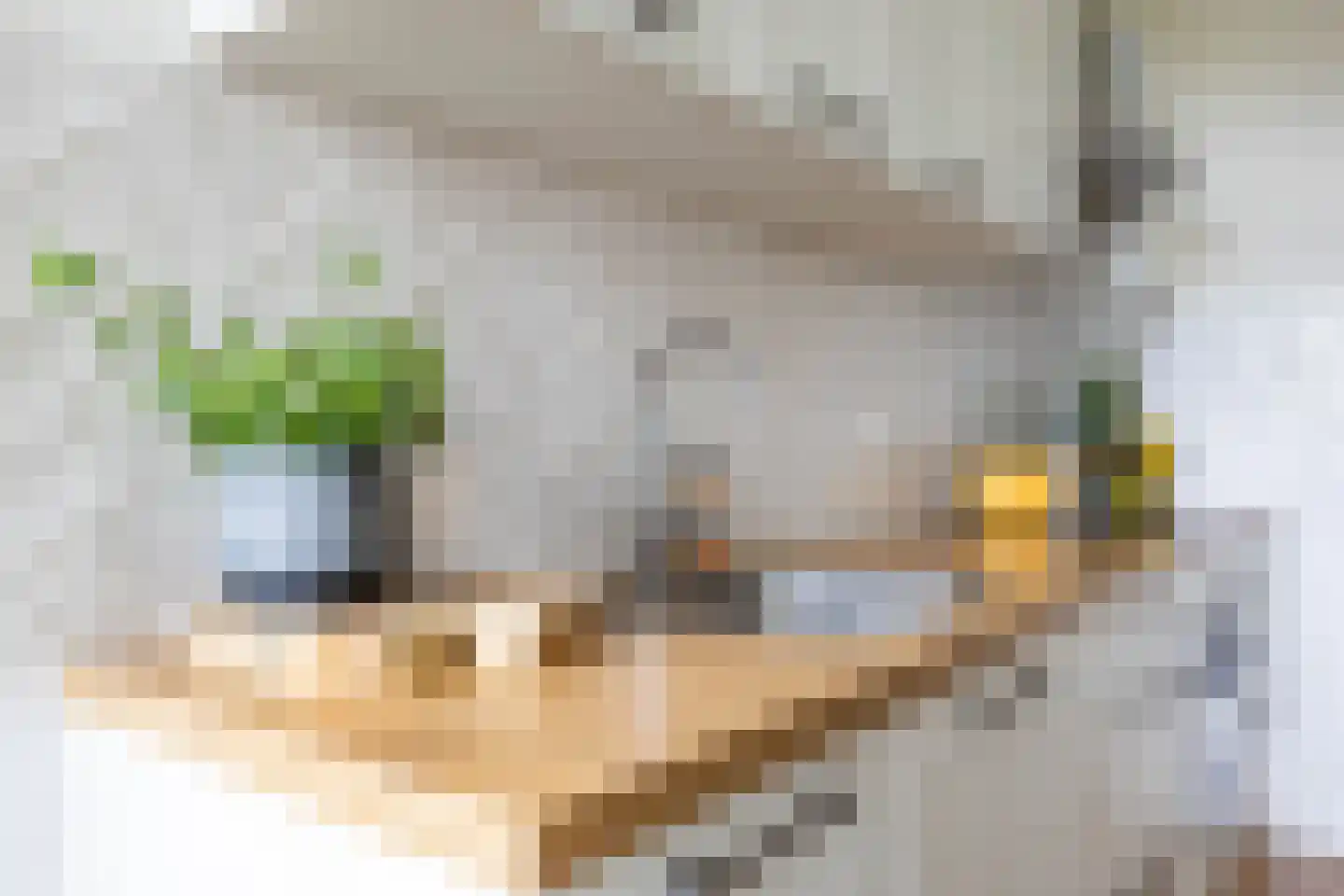Dierenriemstraat 185 Groningen thumbnail 24