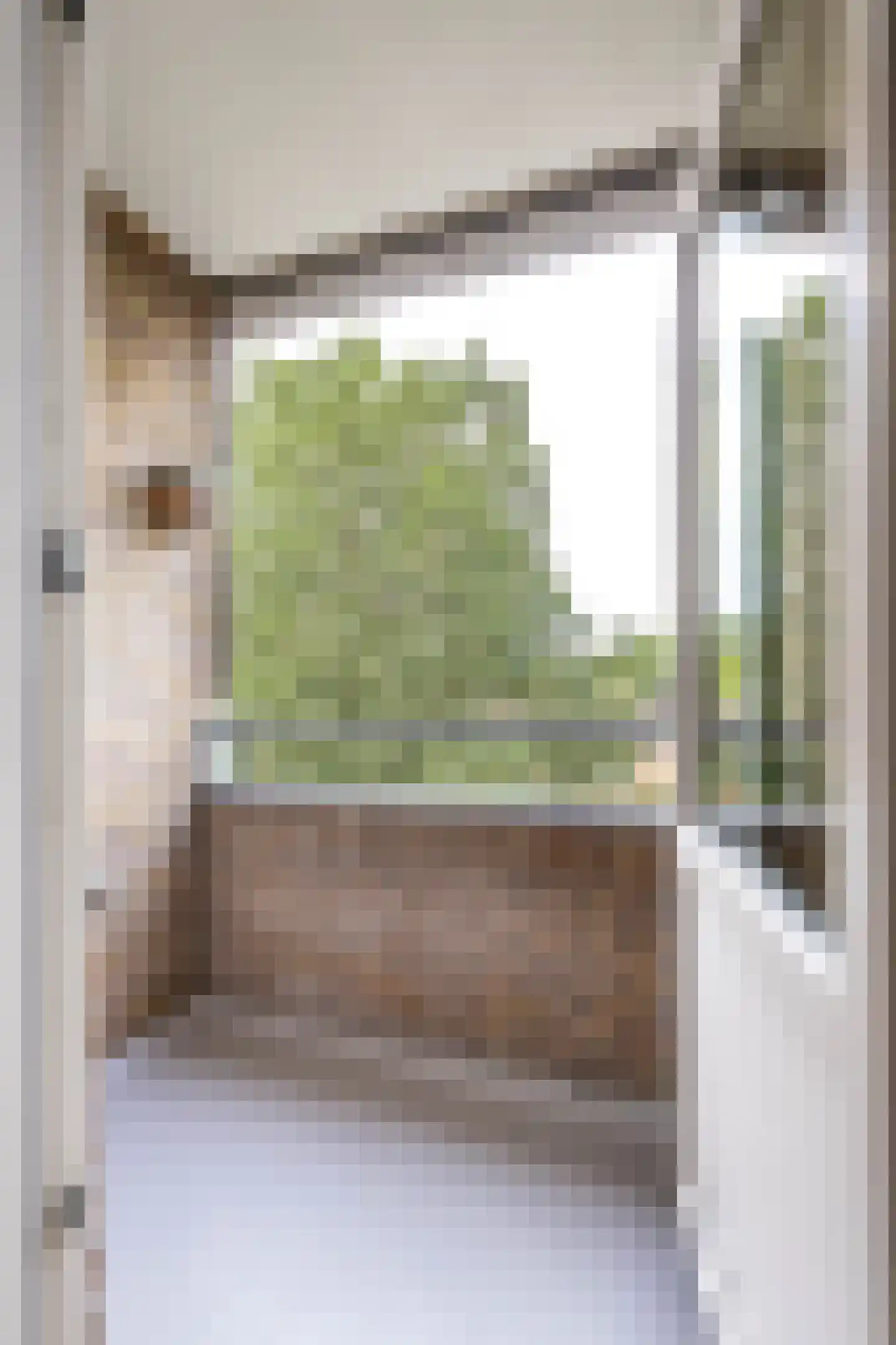 Dierenriemstraat 185 Groningen thumbnail 28
