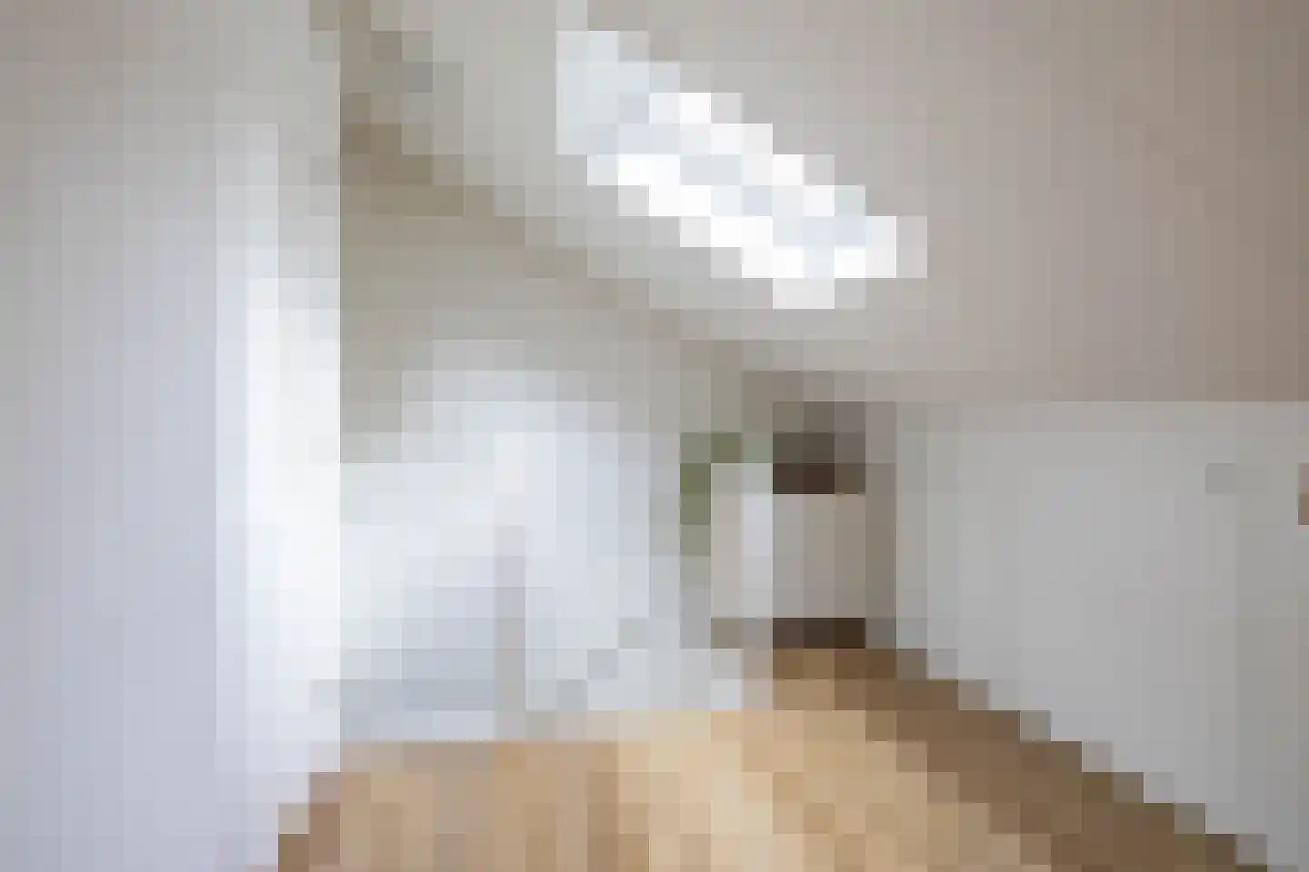 Dierenriemstraat 185 Groningen thumbnail 39