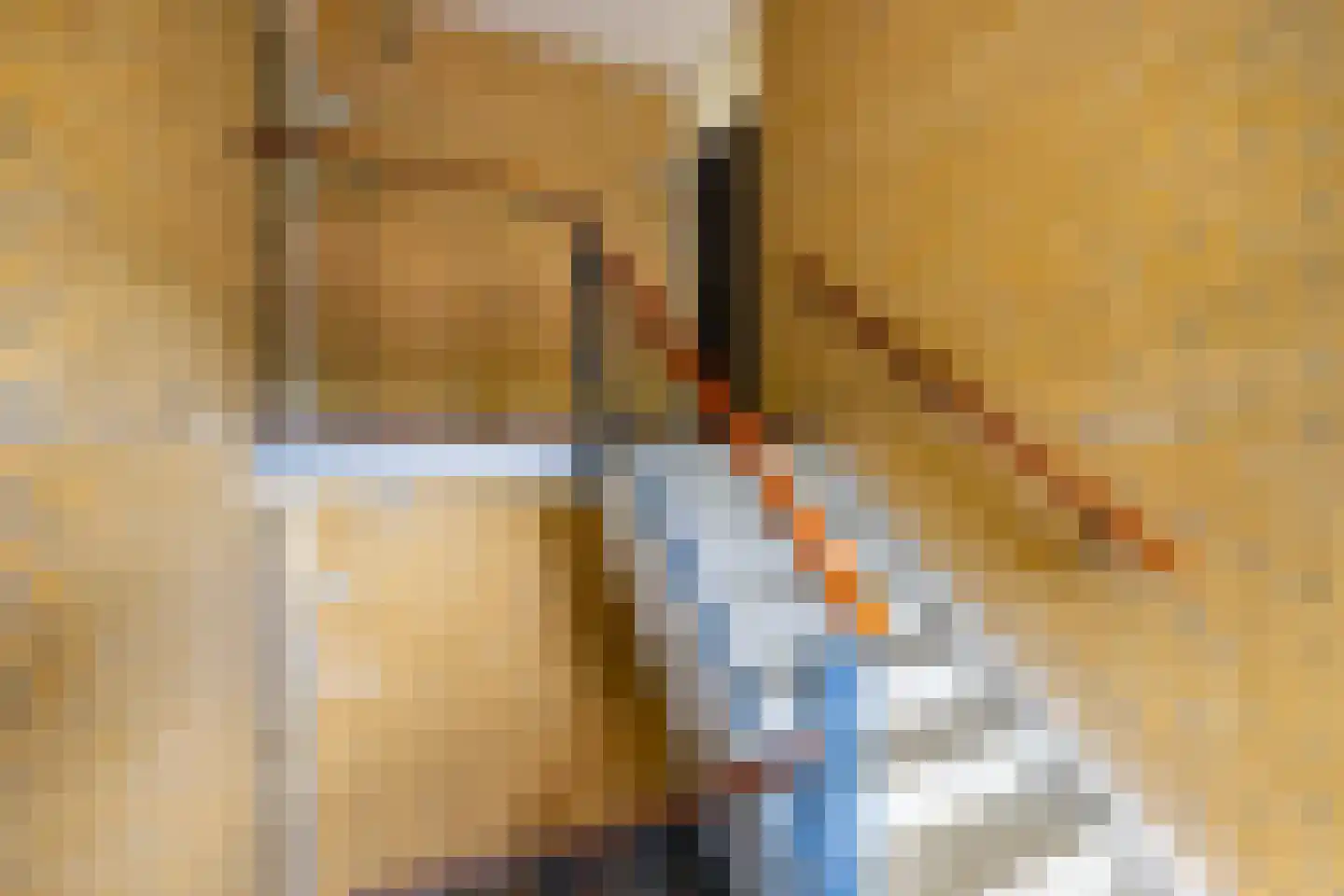 Dierenriemstraat 185 Groningen thumbnail 47