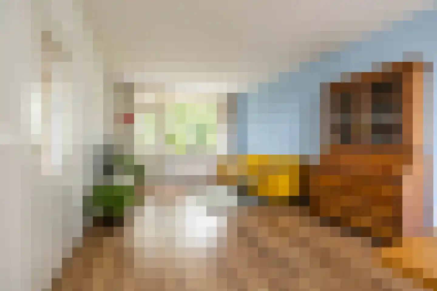 Dierenriemstraat 185 Groningen thumbnail 9