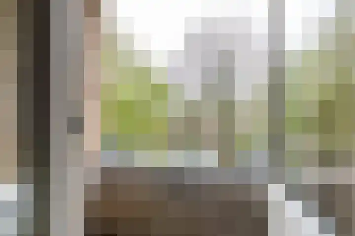 Dierenriemstraat 205 Groningen thumbnail 31