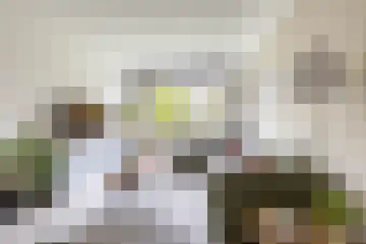 Dierenriemstraat 205 Groningen thumbnail 33