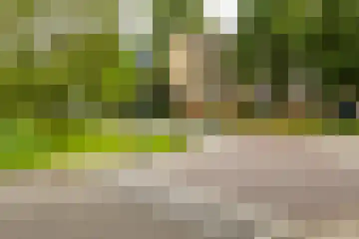 Dierenriemstraat 205 Groningen thumbnail 8