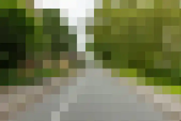Dierenriemstraat 205 Groningen thumbnail 9