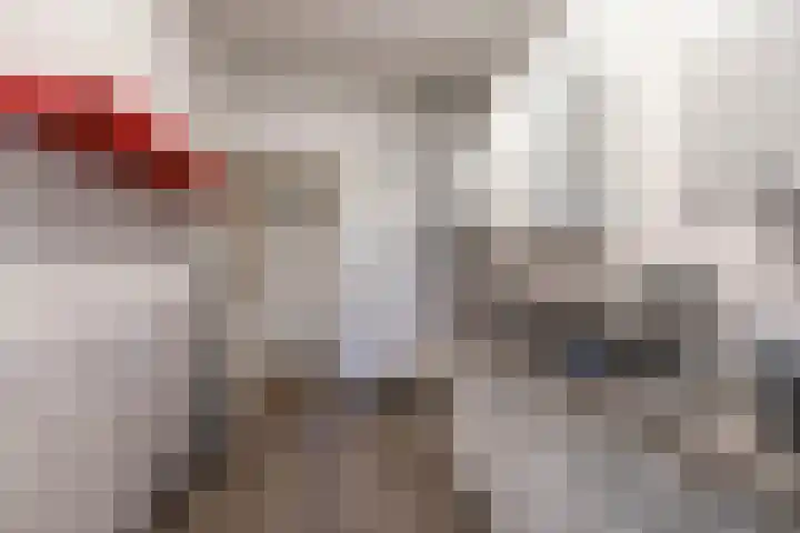 Dierenriemstraat 207 Groningen thumbnail 20