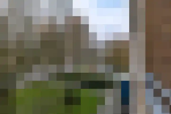 Dierenriemstraat 207 Groningen thumbnail 24