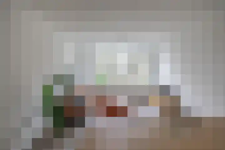 Dierenriemstraat 207 Groningen thumbnail 8