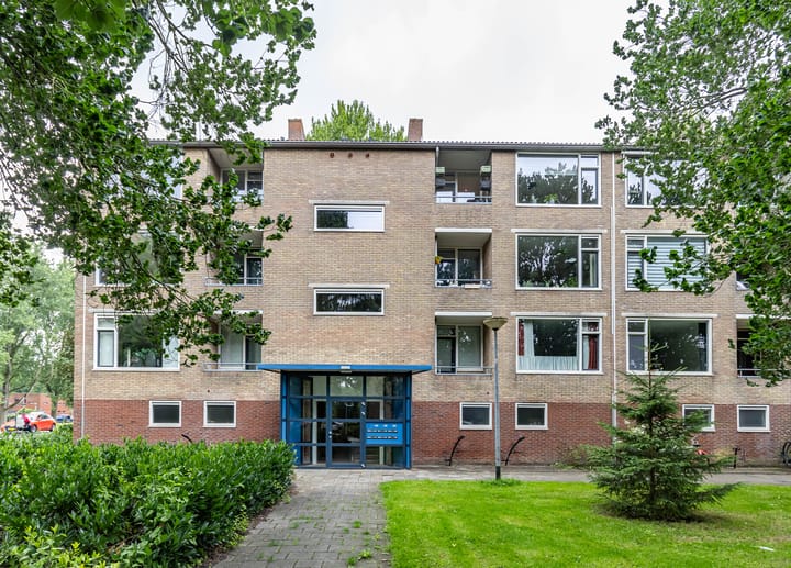 Dierenriemstraat 221 in Groningen Foto