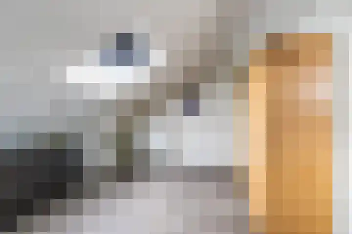 Dierenriemstraat 221 Groningen thumbnail 31