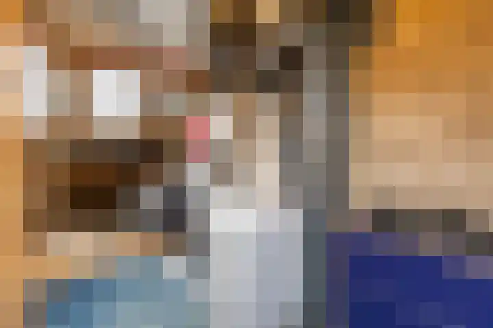 Dierenriemstraat 221 Groningen thumbnail 32