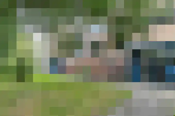Dierenriemstraat 221 Groningen thumbnail 8