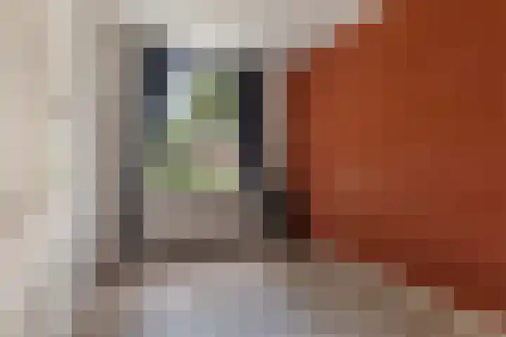 Dierenriemstraat 27 Groningen thumbnail 16