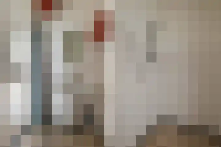 Dierenriemstraat 27 Groningen thumbnail 18