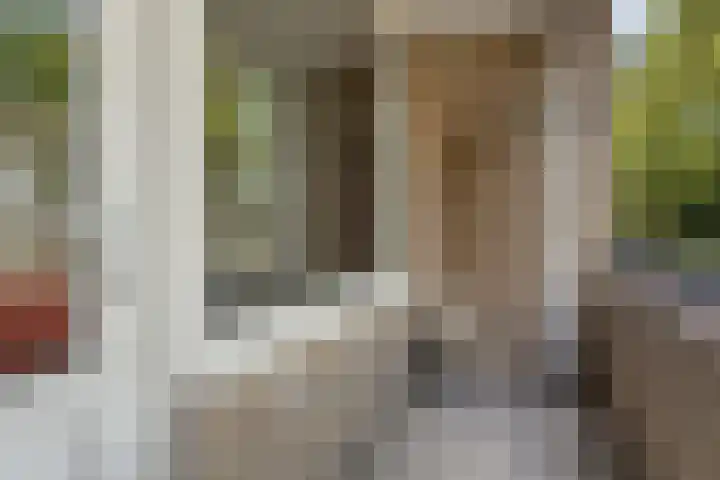 Dierenriemstraat 27 Groningen thumbnail 20
