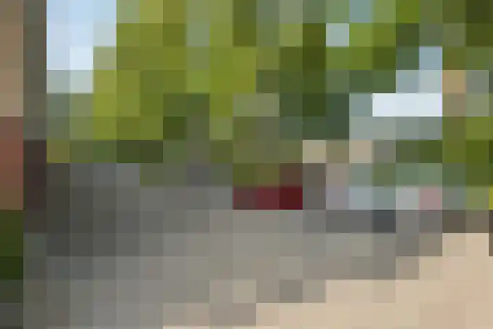 Dierenriemstraat 27 Groningen thumbnail 25
