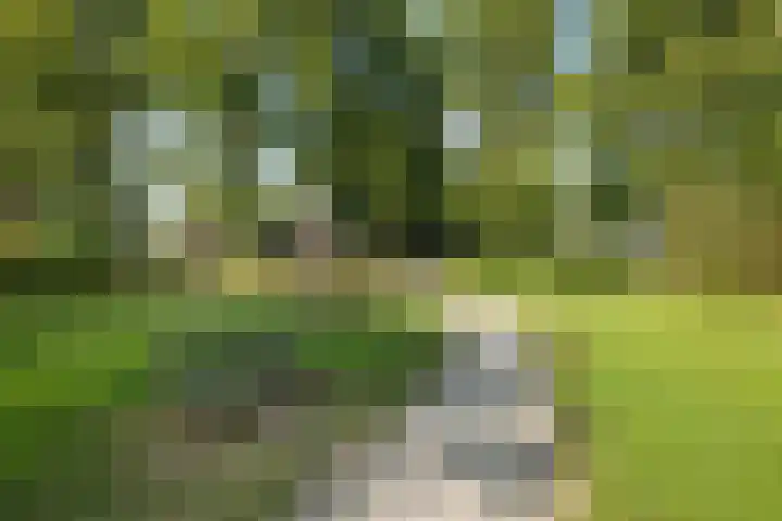 Dierenriemstraat 27 Groningen thumbnail 4