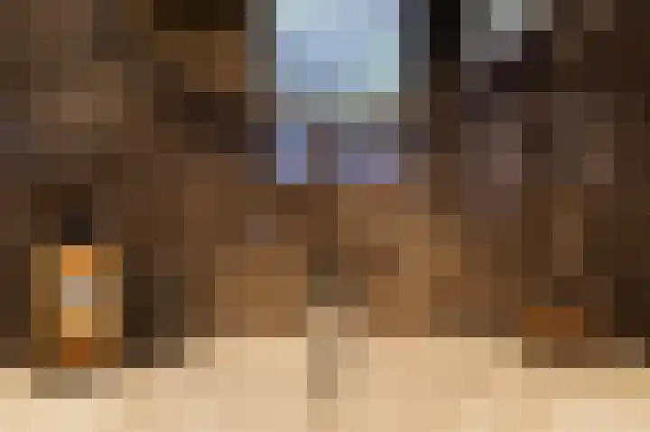 Dierenriemstraat 37 Groningen thumbnail 31