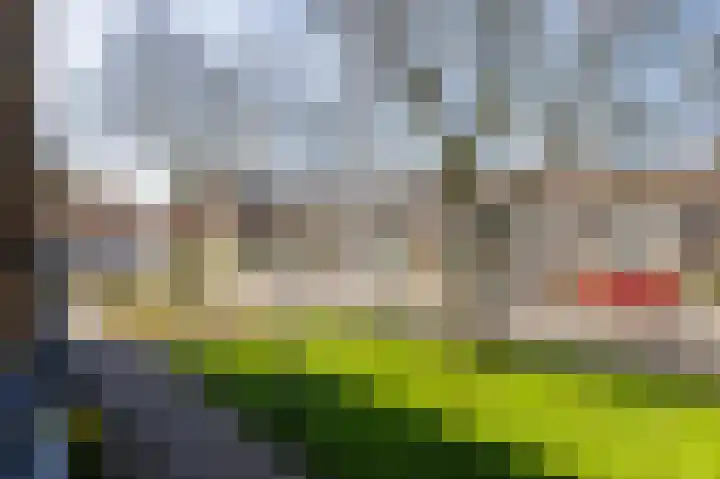 Dierenriemstraat 37 Groningen thumbnail 34