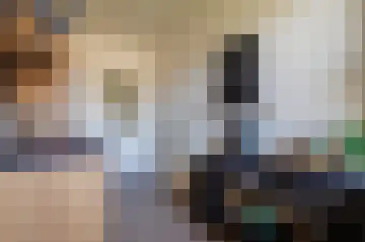 Dierenriemstraat 37 Groningen thumbnail 35