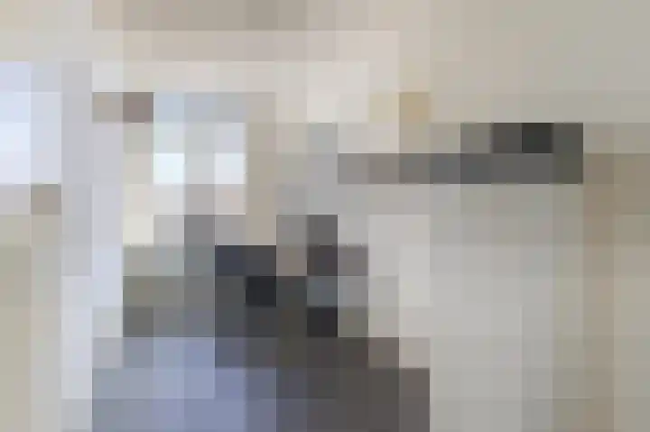 Dierenriemstraat 37 Groningen thumbnail 38