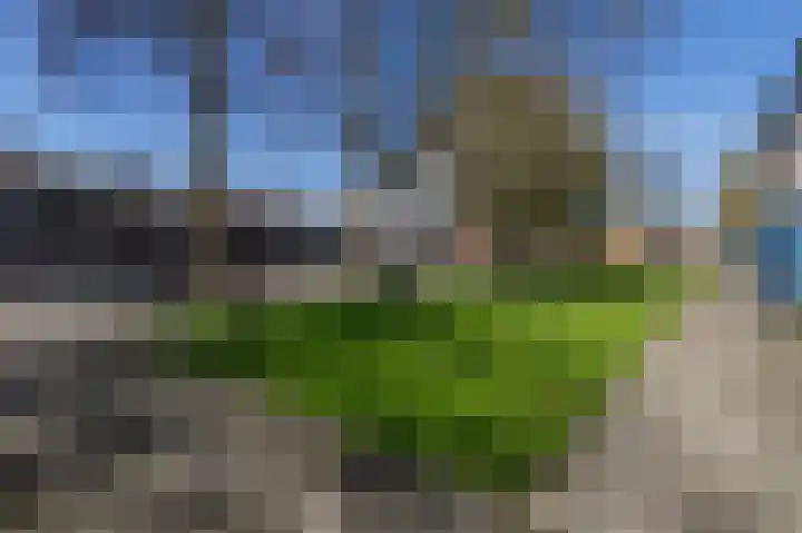 Dierenriemstraat 37 Groningen thumbnail 49