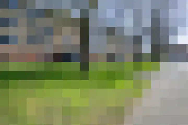 Dierenriemstraat 37 Groningen thumbnail 6