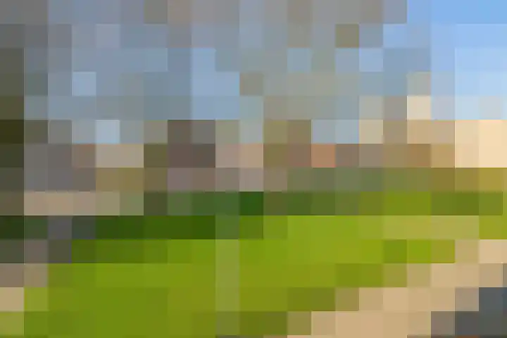 Dierenriemstraat 63 Groningen thumbnail 22