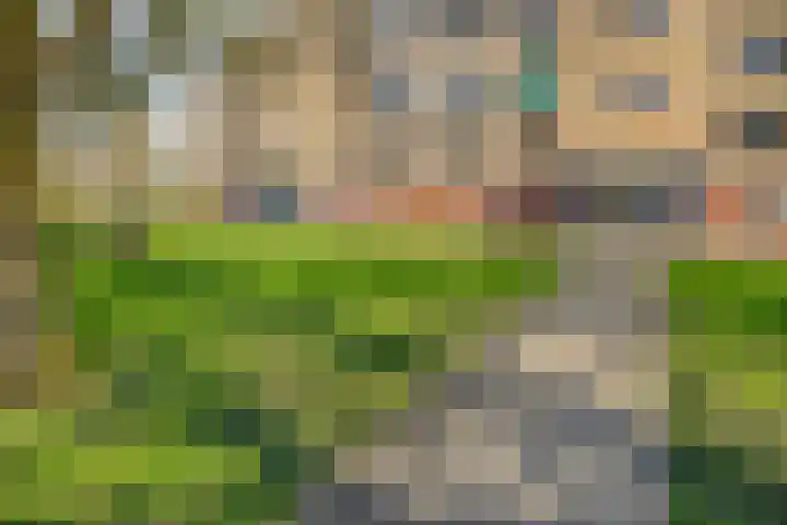 Dierenriemstraat 63 Groningen thumbnail 31
