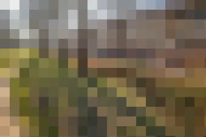 Dierenriemstraat 63 Groningen thumbnail 33