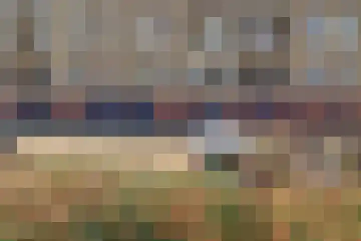 Dierenriemstraat 63 Groningen thumbnail 34