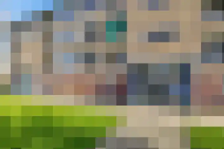 Dierenriemstraat 63 Groningen thumbnail 6