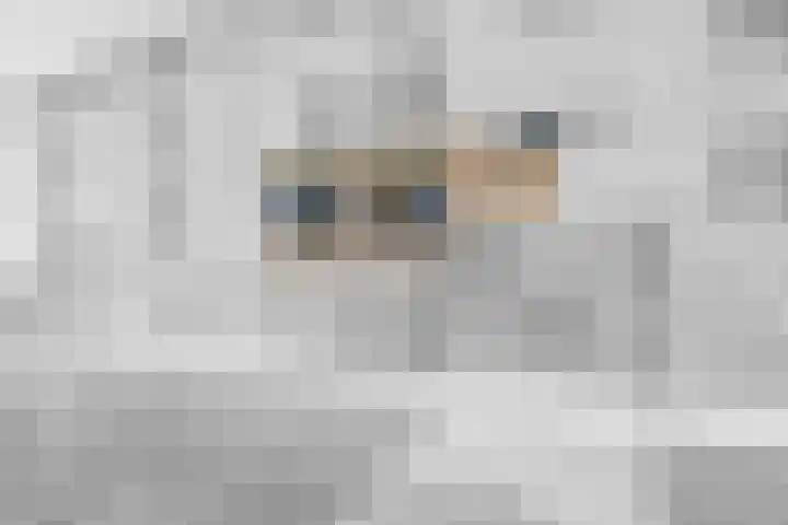 Dierenriemstraat 63 Groningen thumbnail 7