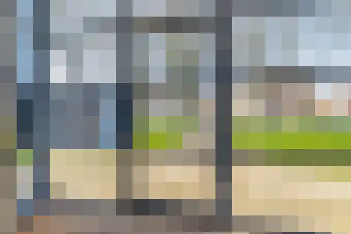 Dierenriemstraat 63 Groningen thumbnail 8