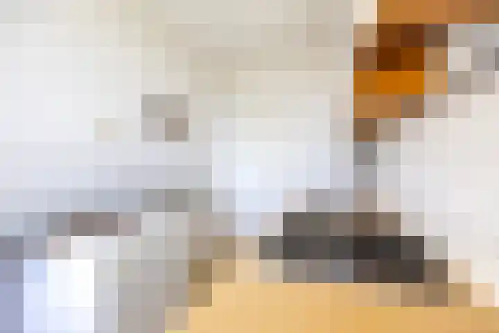 Dierenriemstraat 79 Groningen thumbnail 17