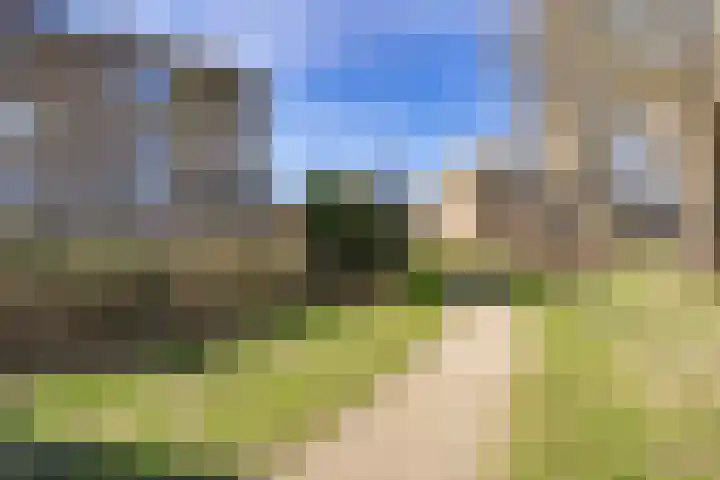 Dierenriemstraat 79 Groningen thumbnail 31