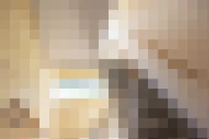 Dierenriemstraat 79 Groningen thumbnail 6