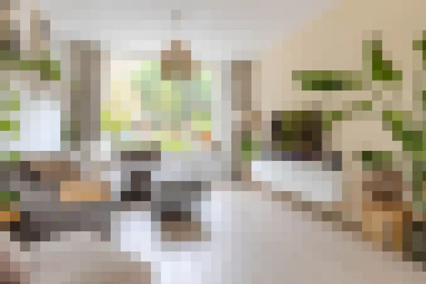 Dierenriemstraat 80 Groningen thumbnail 12